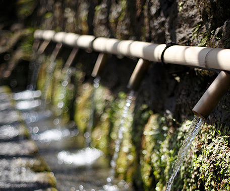 船越山のおいしい水